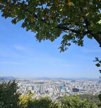 남산타워전망대-남산타워입장료할인