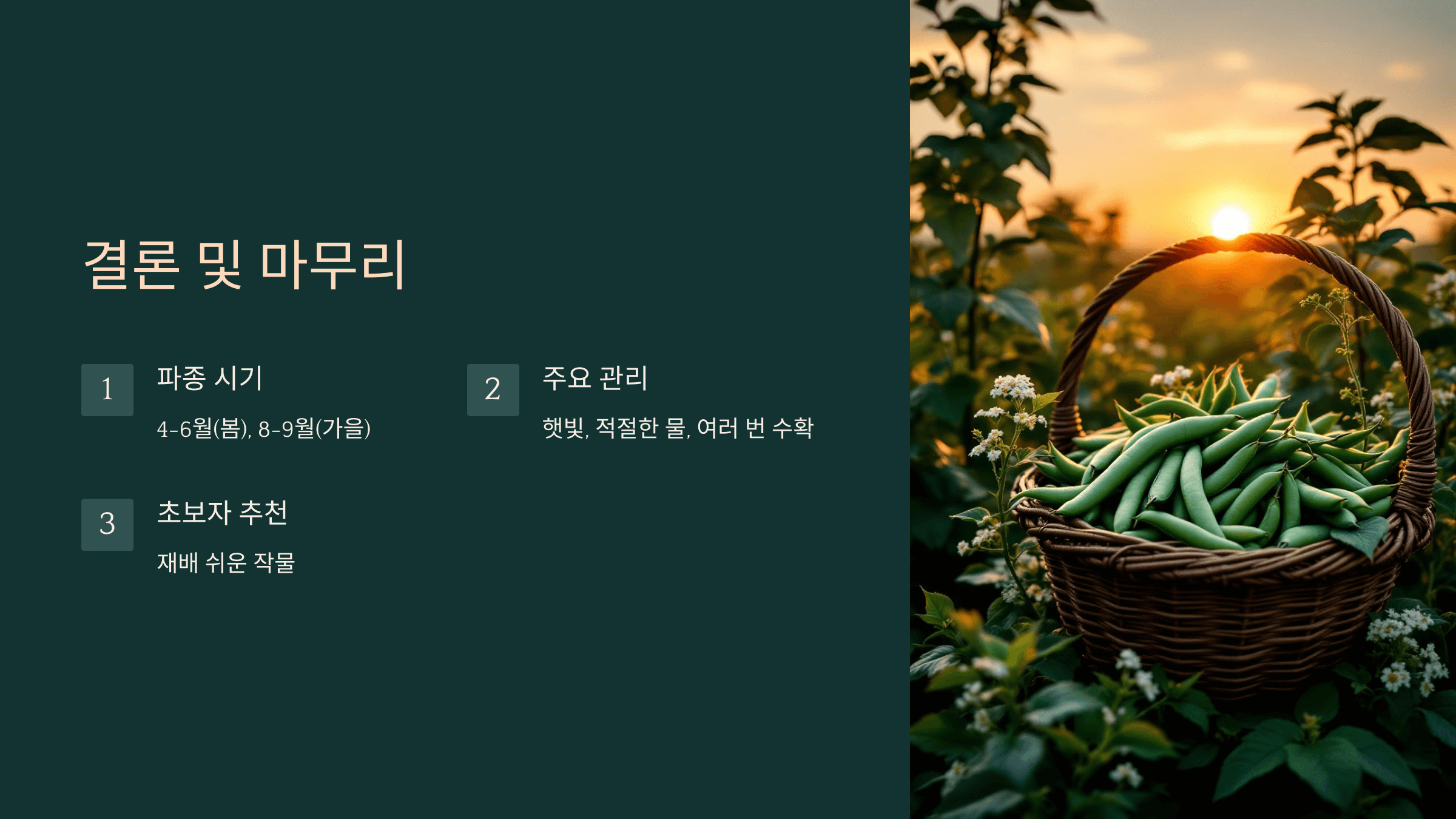 강낭콩 사진입니다.