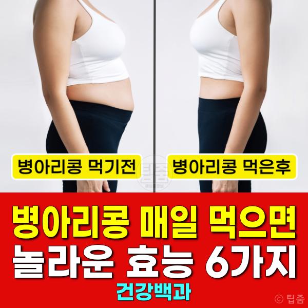 병아리콩 매일 먹으면 효능 하루섭취량