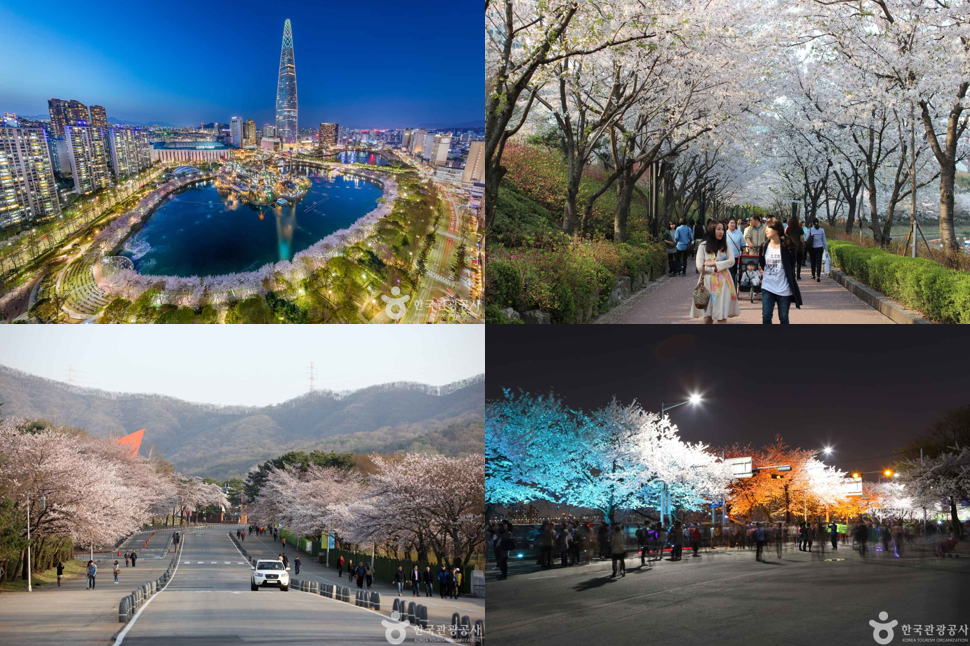 서울 꽃구경 가볼만한곳