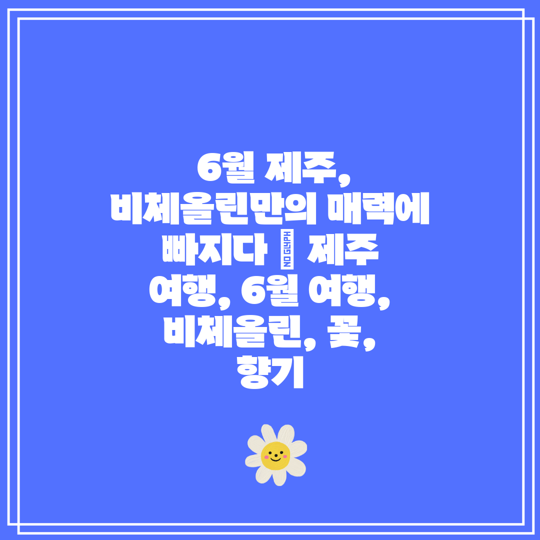 6월 제주, 비체올린만의 매력에 빠지다 제주 여행,