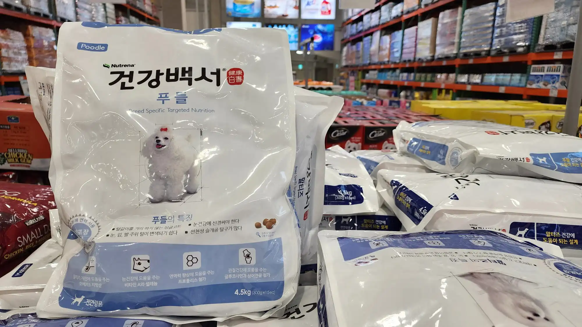  12살 반려견이 젊음을 유지하는 비결이 사료? 뉴트리나 건강백서 애견사료 추천