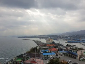 강원도 묵호 여행 묵호항 수산시장 등대 명소_21