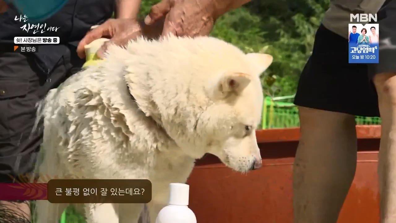 나는 자연인이다.E573.230928p-NEXT.mp4_20230929_174822.810.jpg