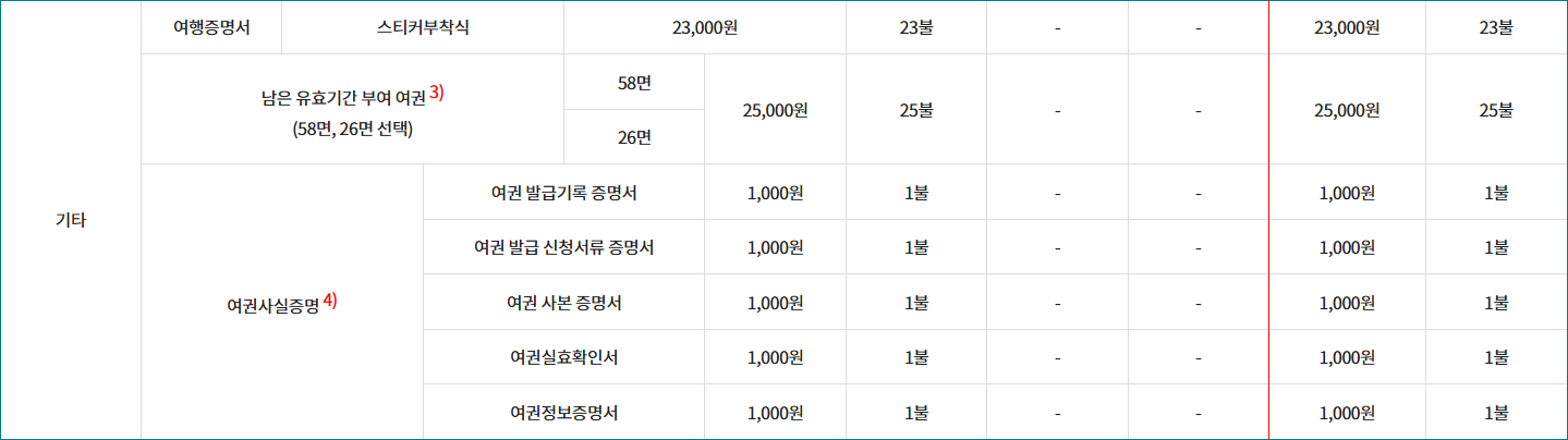 여권발급 기타 사항