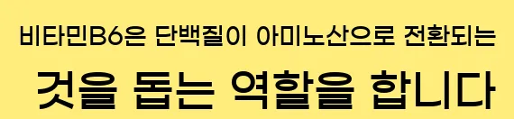  비타민B6은 단백질이 아미노산으로 전환되는 것을 돕는 역할을 합니다