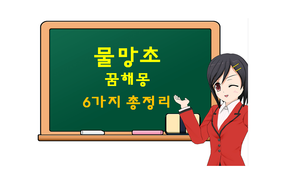  물망초 꿈해몽 6가지 총정리