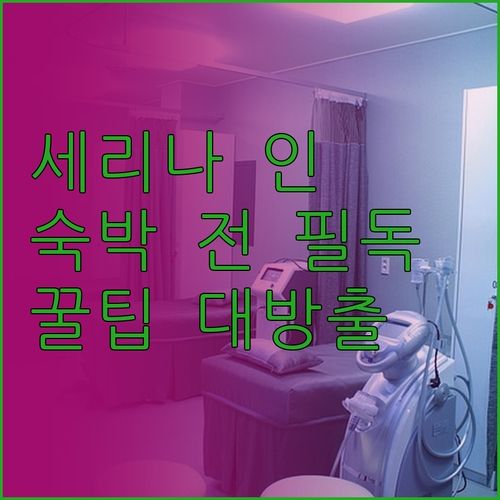 호텔 세리나 인 숙박 전 알아야 할 