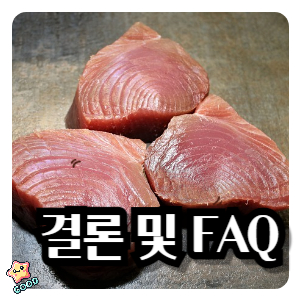 높은-중성-지방-faq