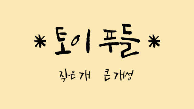 토이 푸들(Toy Poodle) : 작은 개 큰 개성