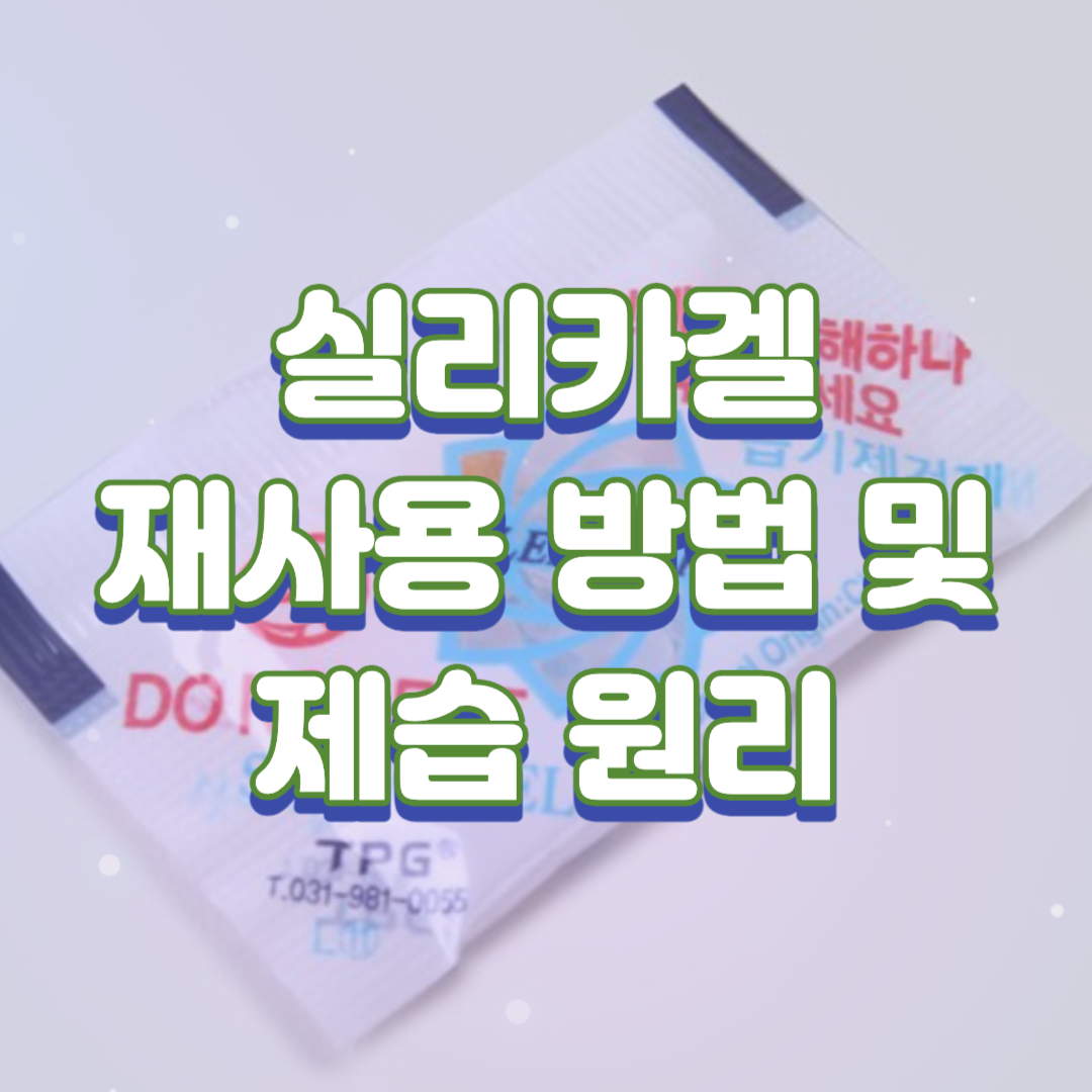  실리카겔(다이소) 재사용 전자렌지 1분