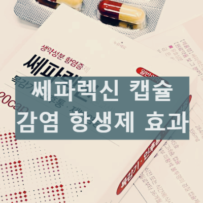 세파렉신이란? 쎄파렉신 캡슐 효능 및 부작용 총정리