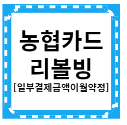  농협카드 리볼빙 서비스 (일부결제금액이월약정)