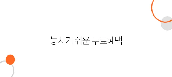 일본행 항공권, 탑승객이 몰라서 못 쓰는 무료 혜택