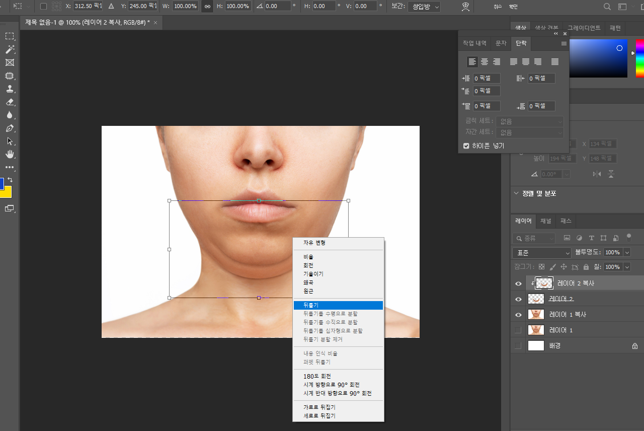 포토샵으로 이중턱 없애기 09