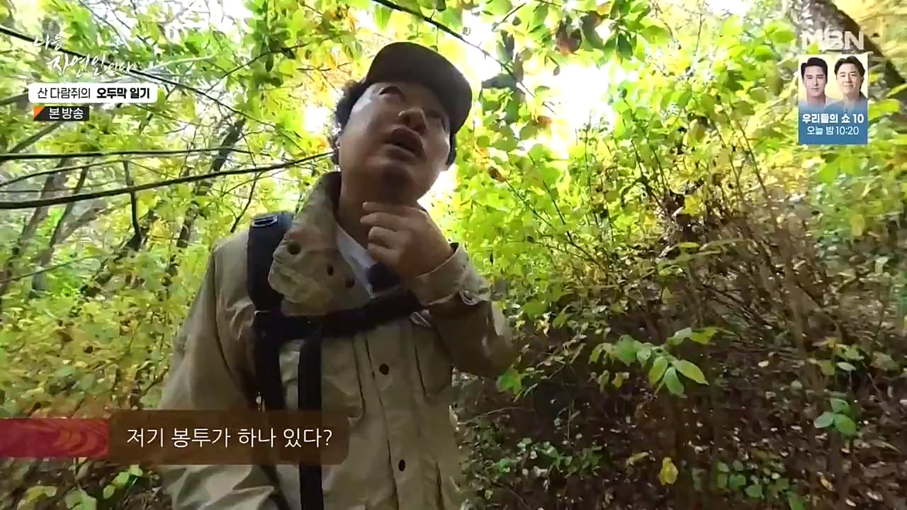 나는 자연인이다.E525.221027p-NEXT.mp4_20221027_192738.844.jpg