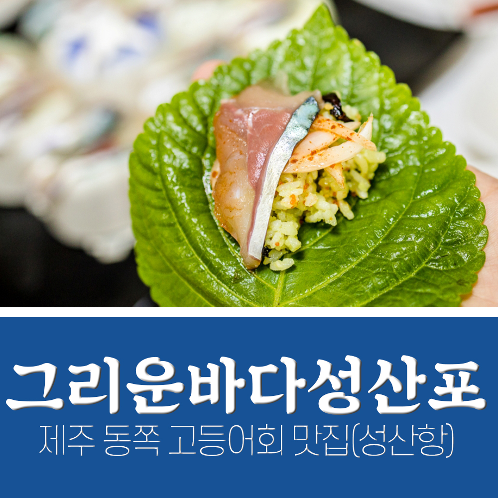  제주 성산 맛집 동쪽 고등어회 '그리운바다성산포' 갈치회,고등어회 C코스 내돈내산 후기