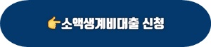 소액생활비대출-신청-홈페이지-레인-가이드-이미지 바로가기