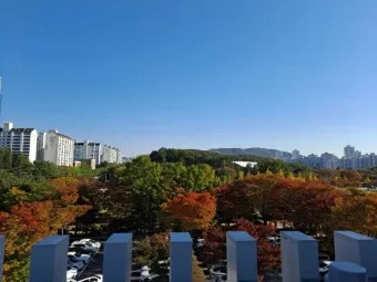 무릎쓰고 무릅쓰고 맞춤법 맞는 표현 예시_5