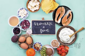 김치수퍼파워 이미지
