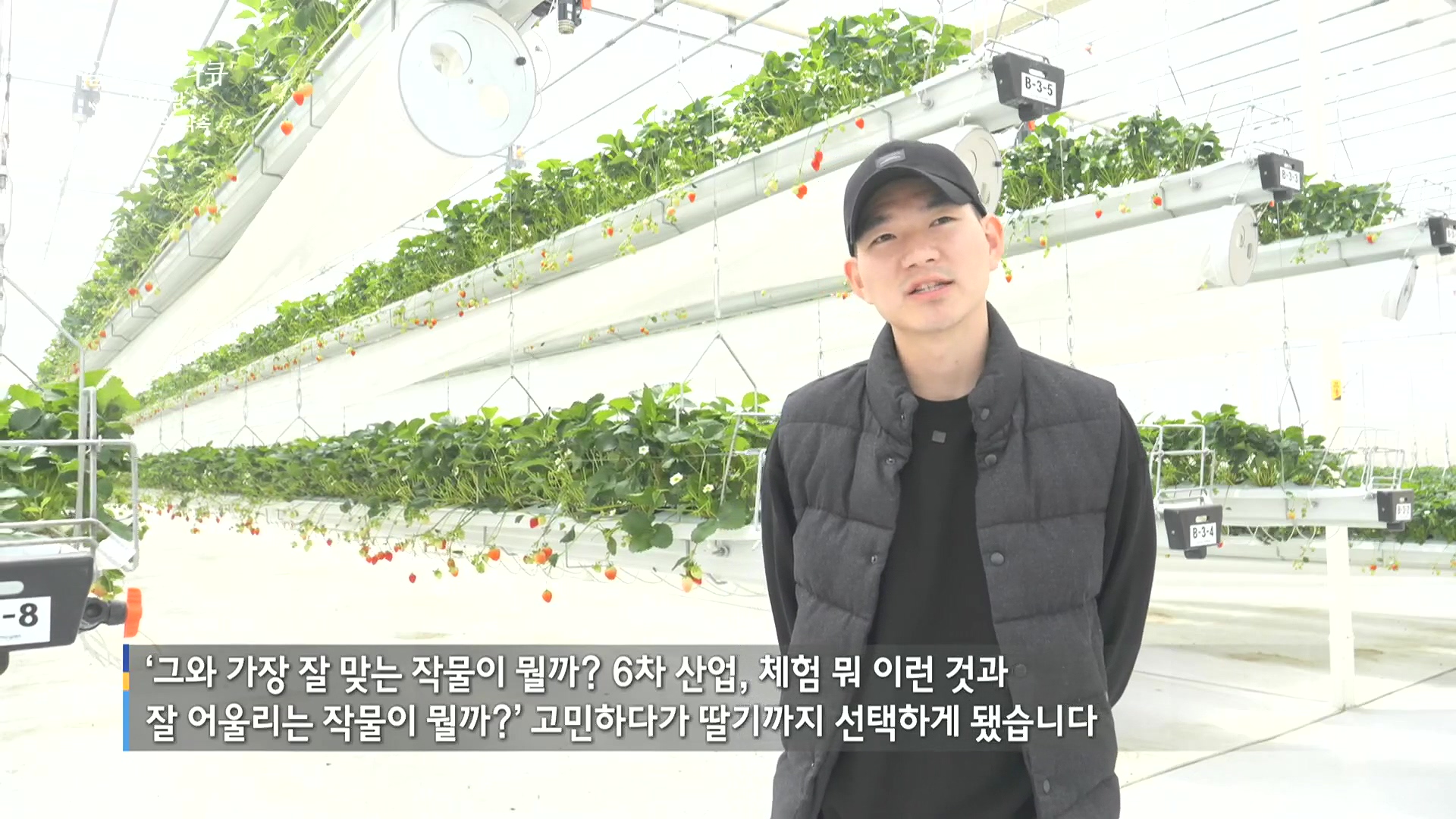 일요 특선 다큐멘터리.E348.240804p.H264-F1RST.mp4_20240805_195521.635.jpg