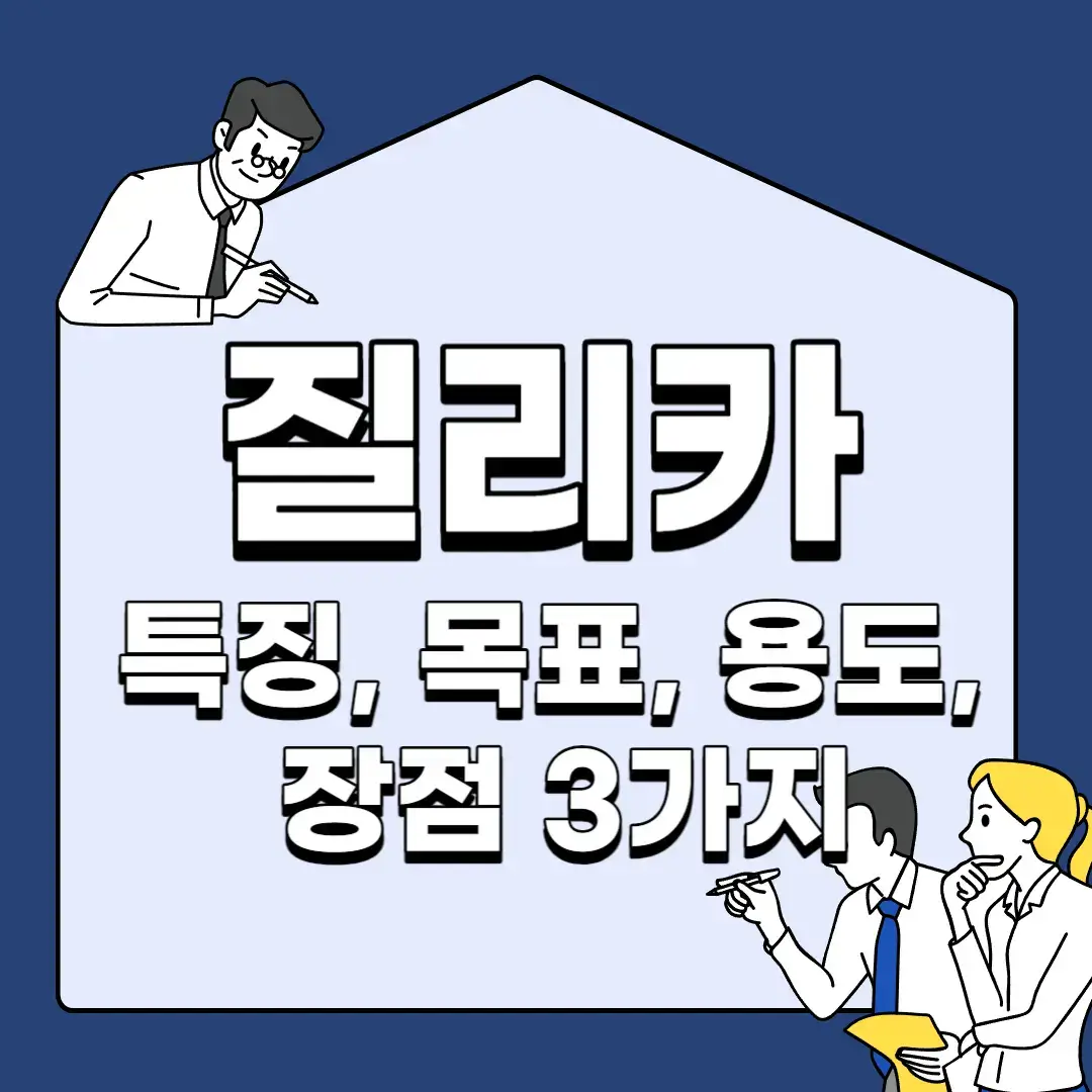 질리카-특징-목표-용도-장점-3가지