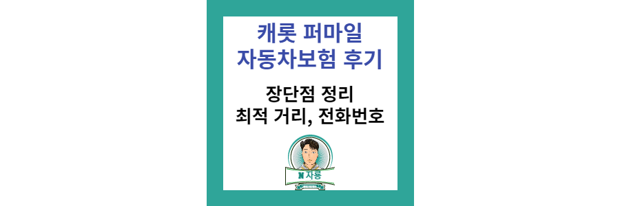 캐롯 퍼마일 자동차보험 후기-썸네일-사진