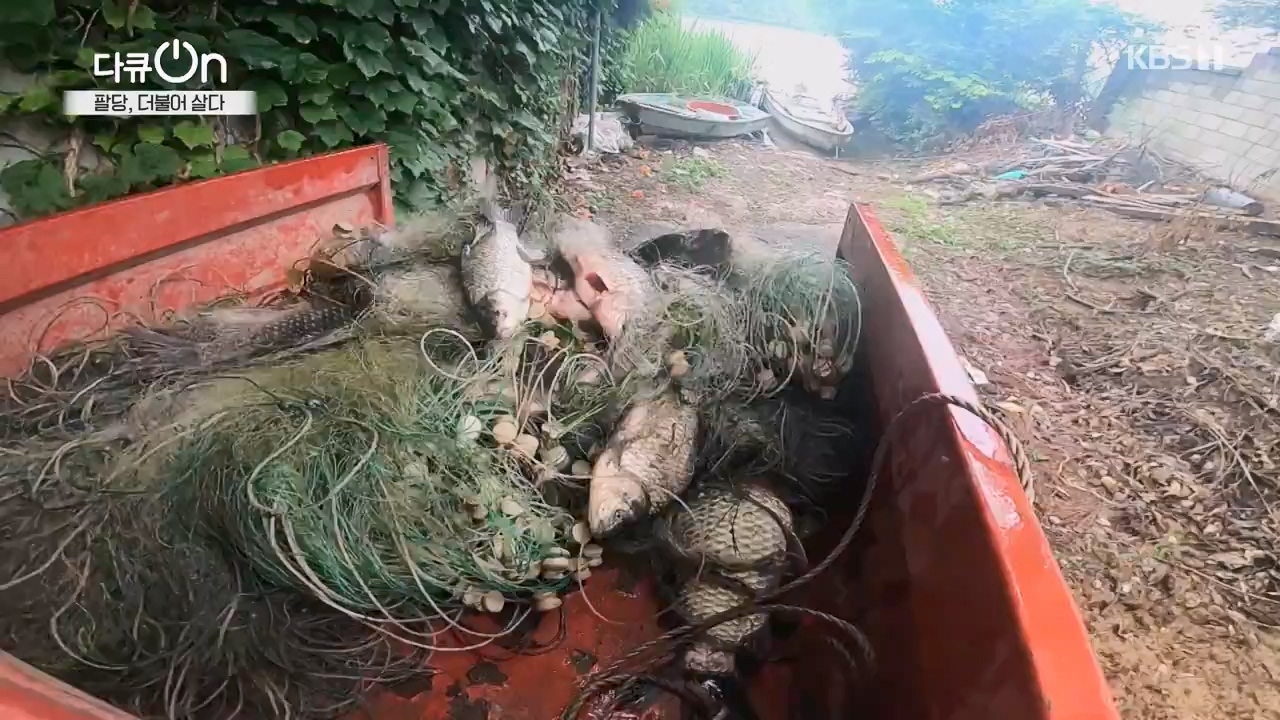 다큐 온.E208.230730p-NEXT.mp4_20230802_202541.155.jpg