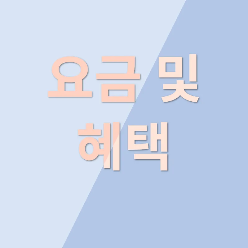 김포공항 리무진 버스_2