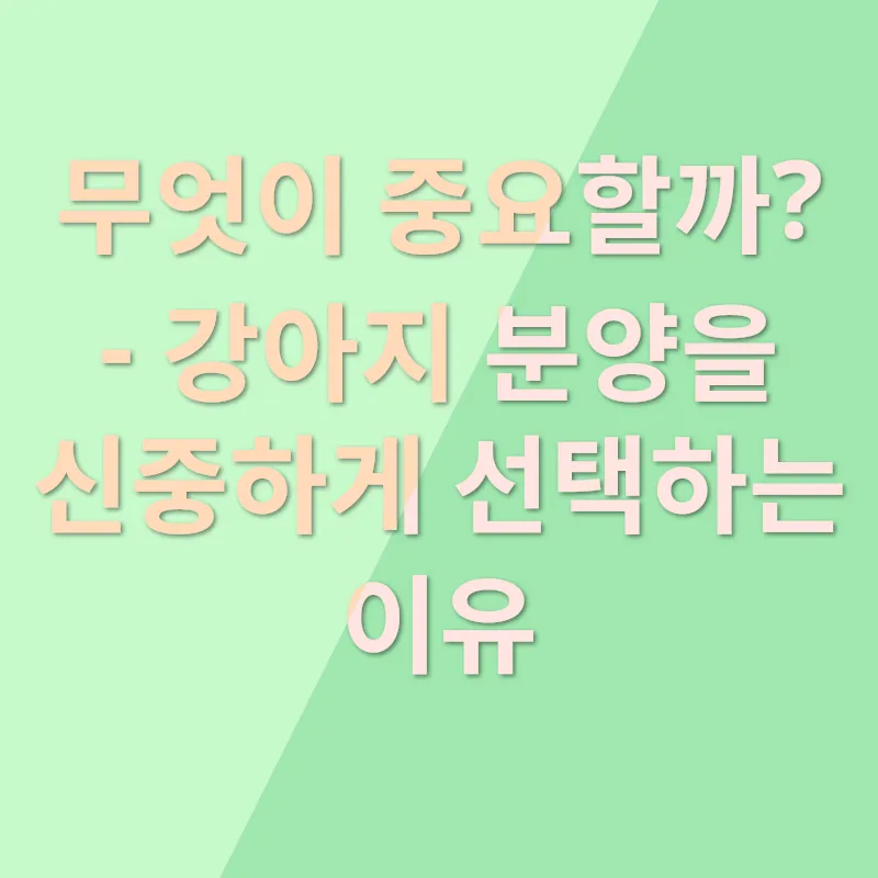 강아지 분양_1