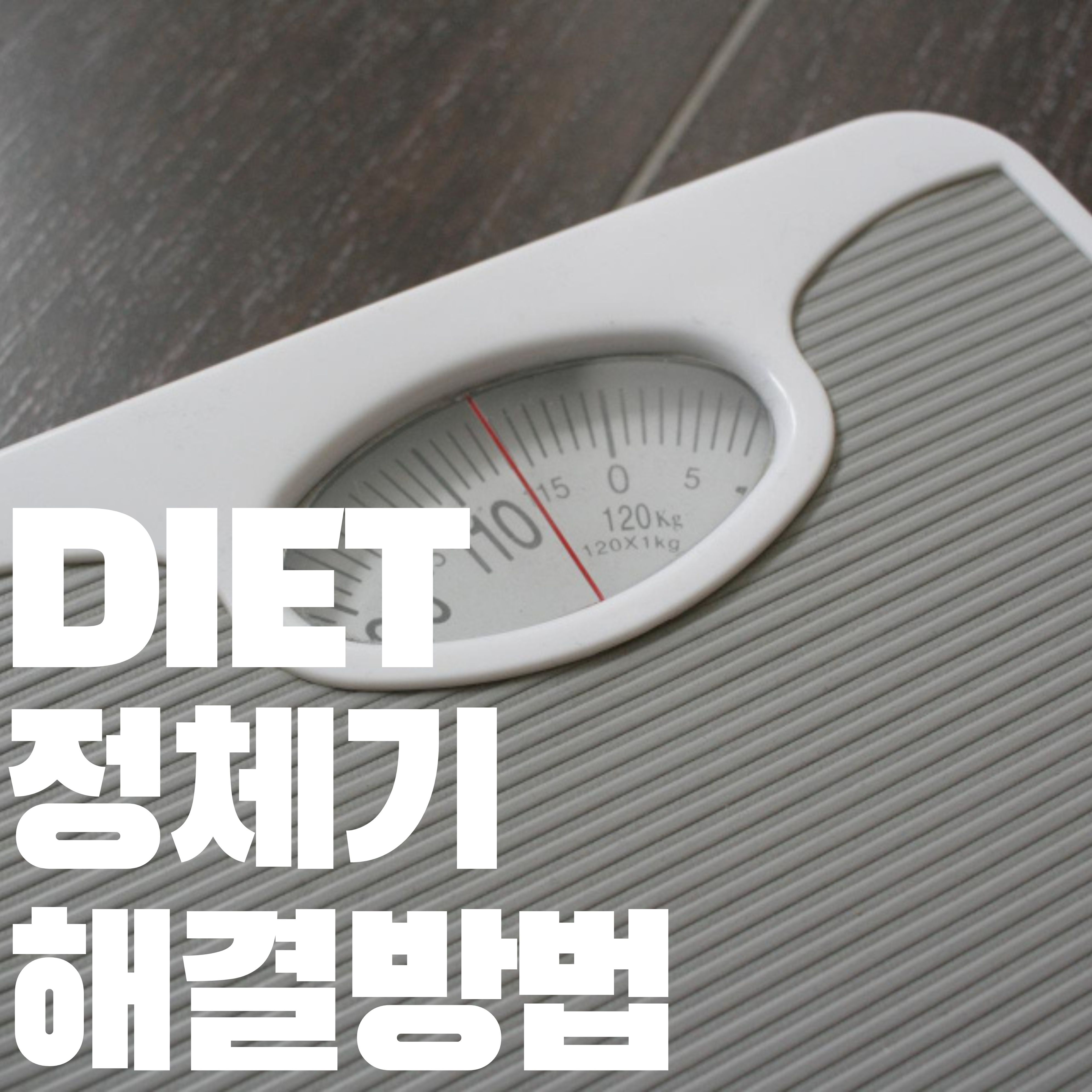  다이어트 정체기라면 이렇게 해보세요