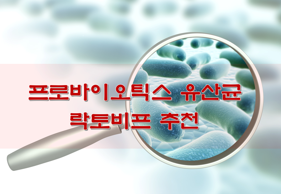  프로바이오틱스 유산균 락토비프 추천