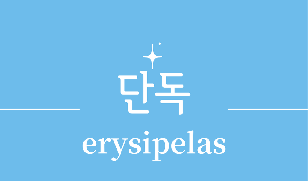 '단독(erysipelas)'