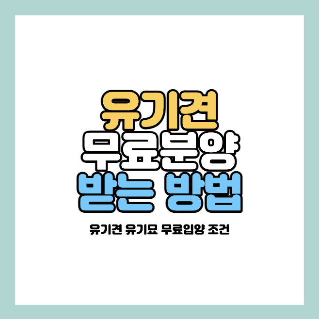 유기견-무료분양