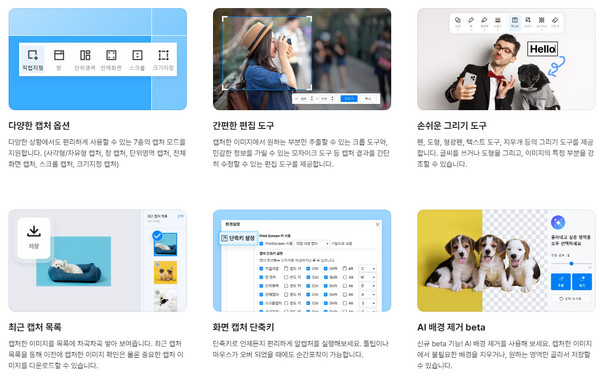 다양한-캡처-옵션