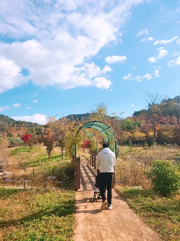 #부산 아이와가 볼만한 바다 운대수목원 15