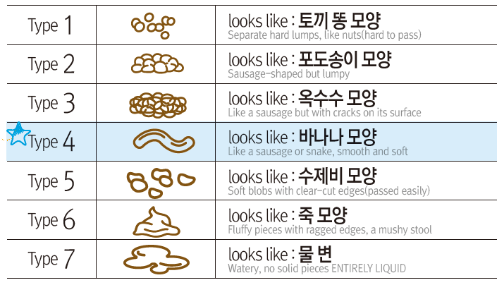 건강한 방광을 위한 올바른 대변 관리 [소아비뇨의학과]