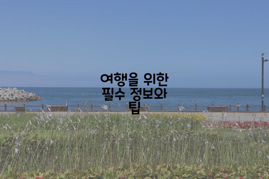 여행을 위한 필수 정보와 팁