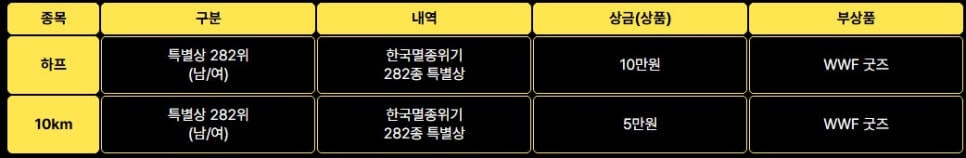 2025 서울어스마라톤