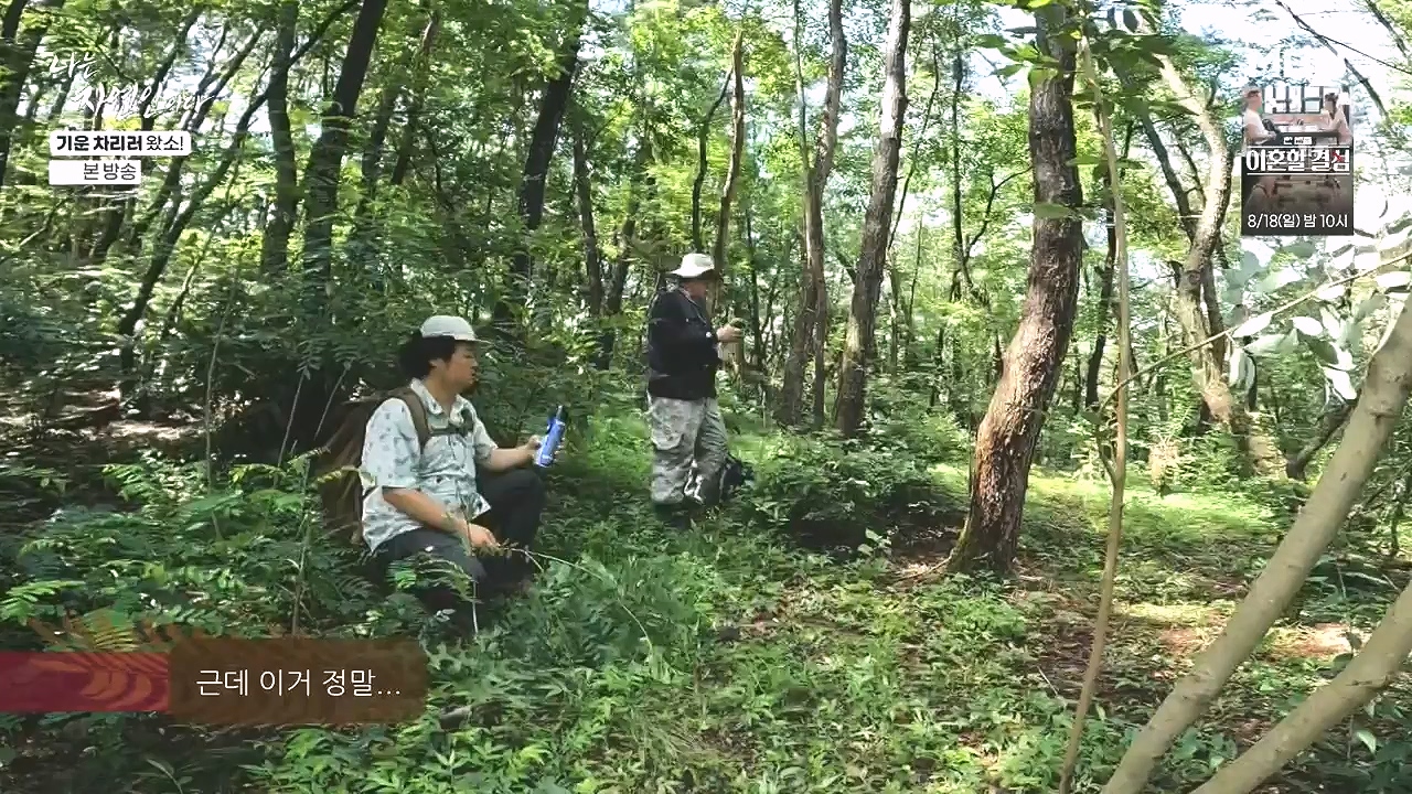 나는 자연인이다.E617.240808p-NEXT.mp4_20240808_195040.757.jpg