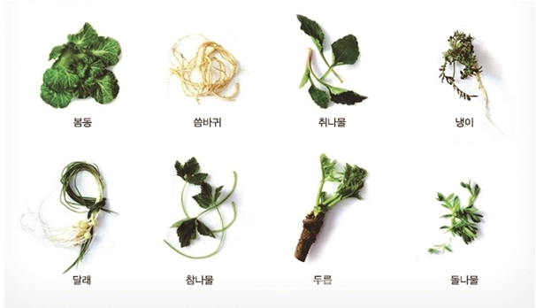 봄나물-봄동-씀바귀-취나물-냉이-달래-참나물-두릅-돌나물