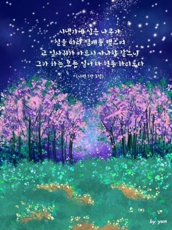 시편 30장 5절 묵상 - 그의 진노는 잠깐이요 그의 은총은 평생이로다_24
