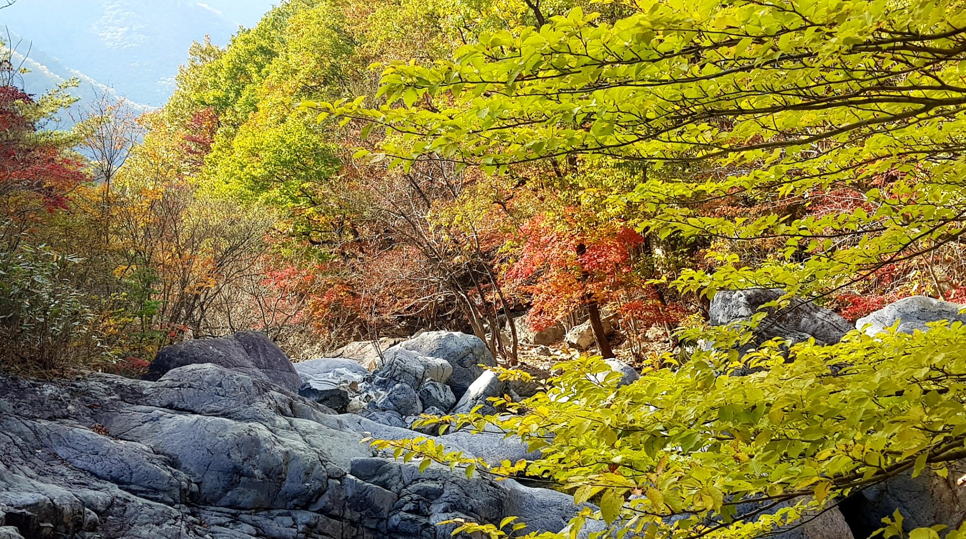 경북 청도 가을 단풍 계곡 산행 학심이 계곡 단풍