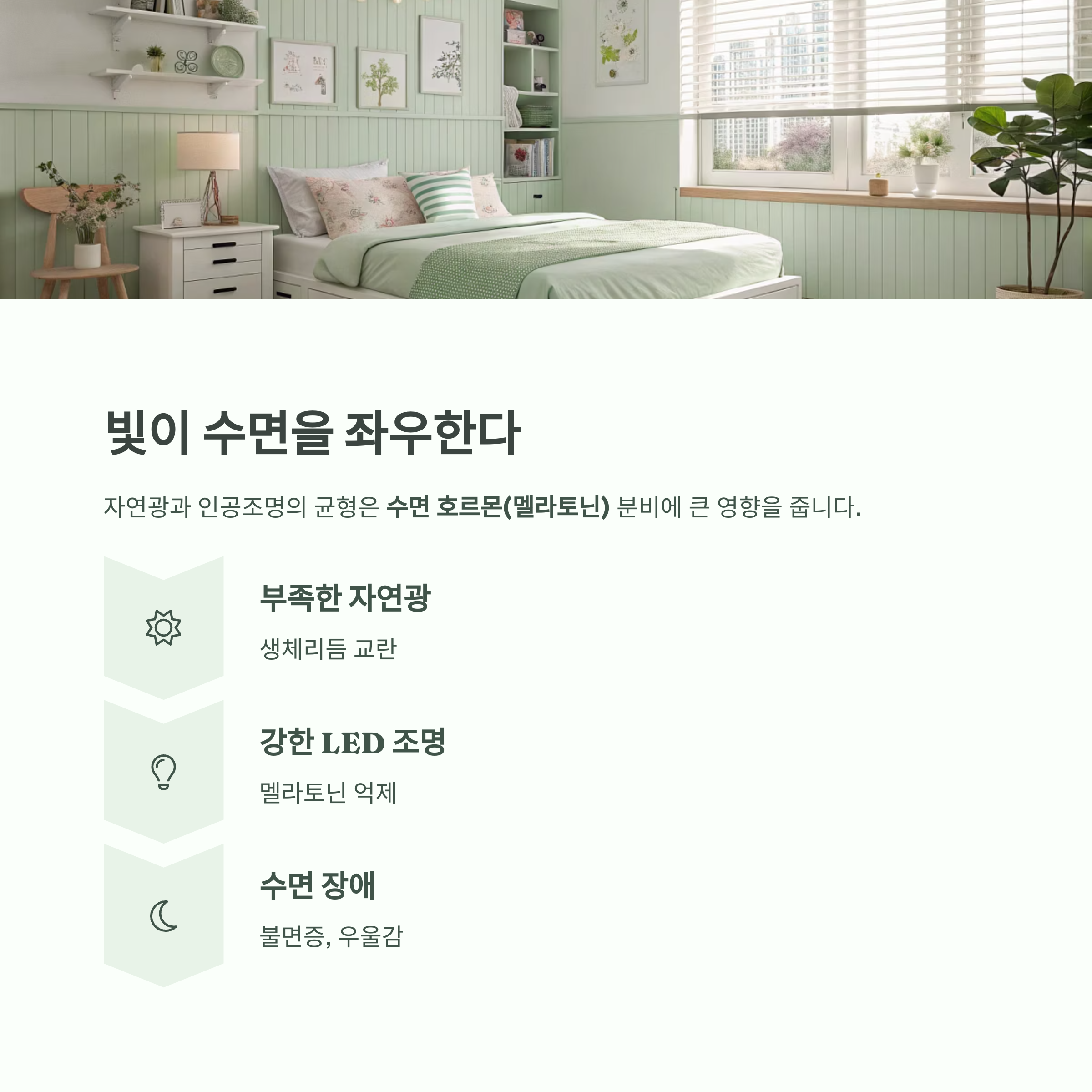 건강한 집이 곧 건강한 삶, 미래 주거의 새로운 기준 - 우리 집은 과연 나의 건강에 도움이 되고 있을까요? - 빛과 수면의 질, 조명은 생체리듬의 핵심 건강한 집이 곧 건강한 삶, 미래 주거의 새로운 기준 - 우리 집은 과연 나의 건강에 도움이 되고 있을까요? - 빛과 수면의 질, 조명은 생체리듬의 핵심