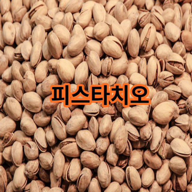  피스타치오 효능 10가지 부작용 및 주의할 점