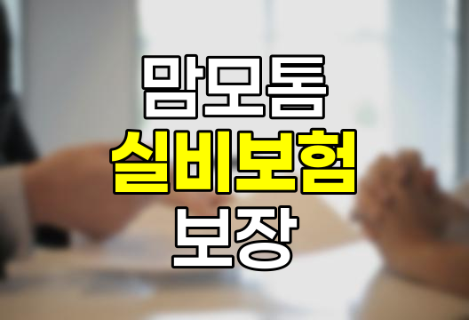 맘모톰 수술의 실비보험 보장 범위와 한계