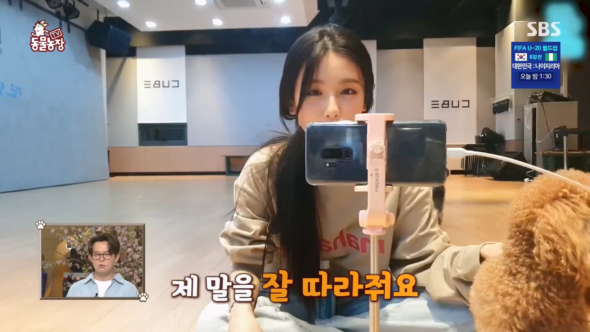 TV 동물농장.E1123.230604p.H264-F1RST.mp4_20230604_173253.032.jpg