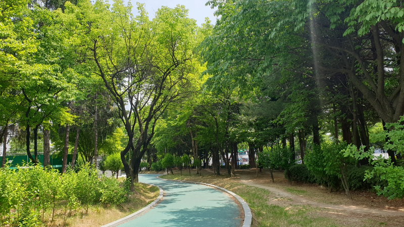  와이파이 라우터 야외에서 사용하기 적합한 무선인터넷