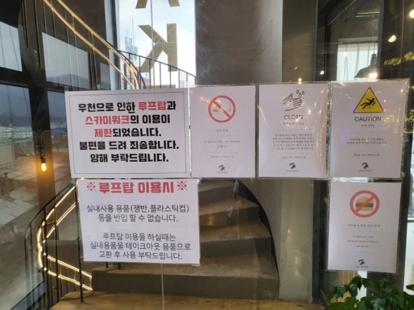 남이섬 카페 [가평카페] 더스틸카페에서 남이섬 3