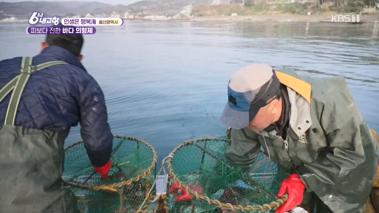 6시 내고향.E7763.230411p.H264-F1RST.mp4_20230411_203326.958.jpg